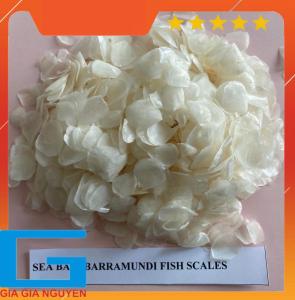Wholesale Fish & Seafood: Dried Tilapia Fish Scales Decalcified Fish Scaled