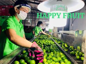 Wholesale gi: Fresh Lime
