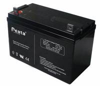 AGM/VRLA/SMF/SLA Backup Power Battery(12v100ah)