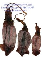 Sell dried squid