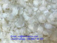 Sell Dried fish scales