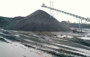 Wholesale non coking coal: Steam Coal,Thermal Coal, Coal