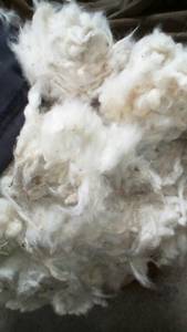 Wholesale 5 inch: Natural Pure Raw Cotton