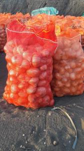 Wholesale acidic water: Fresh Onion Yellow - Red