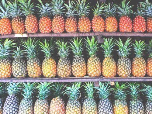 Sell Fresh pineapples from vietnam
