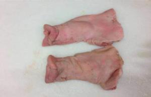 Wholesale tailed: Frozen Pork Snout Meaty