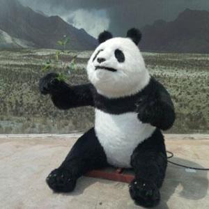 Wholesale silicone enlargement: Customization Animatronic Animal Panda Model
