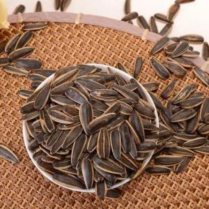 Wholesale sunflower kernels: Sunflower Seed