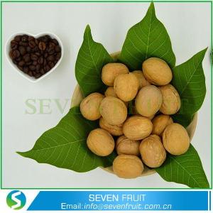 Wholesale in shell walnut: Large Size Walnuts Walnuts in Shell Walnuts with Out Shell Cheap Walnuts in Shell