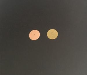 Wholesale Other Manufacturing & Processing Machinery: Optical Pinhole/ Round Aperture/ Custom Precision Pinhole or Pinhole Array for Spectrometer