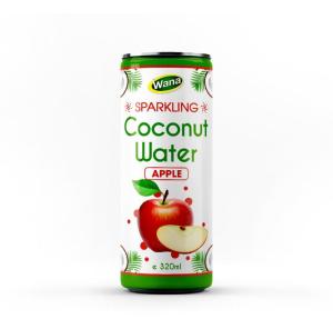 Wholesale natural stone: Sparkling Coconut Water Wana Beverage From Vietnam