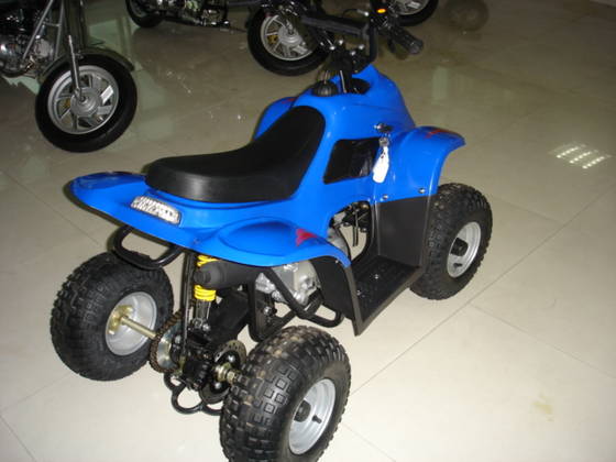 Remote control atv id 434770 from Yongkang Wangli 