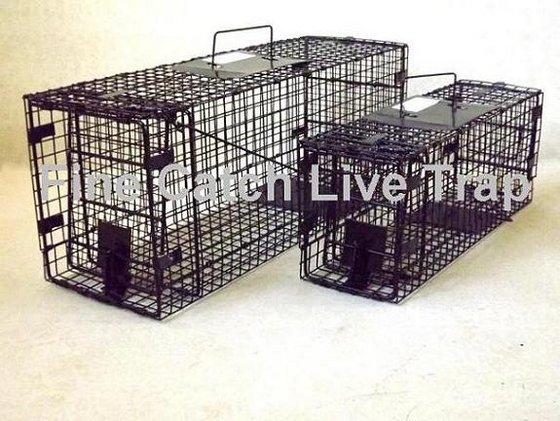 Foldable Cat Raccoon Rabbit Opossum Trap