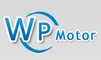 Wangpai Electric Machine Co., Ltd