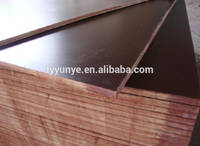 Phenolic Film Faced Plywood Manufacture