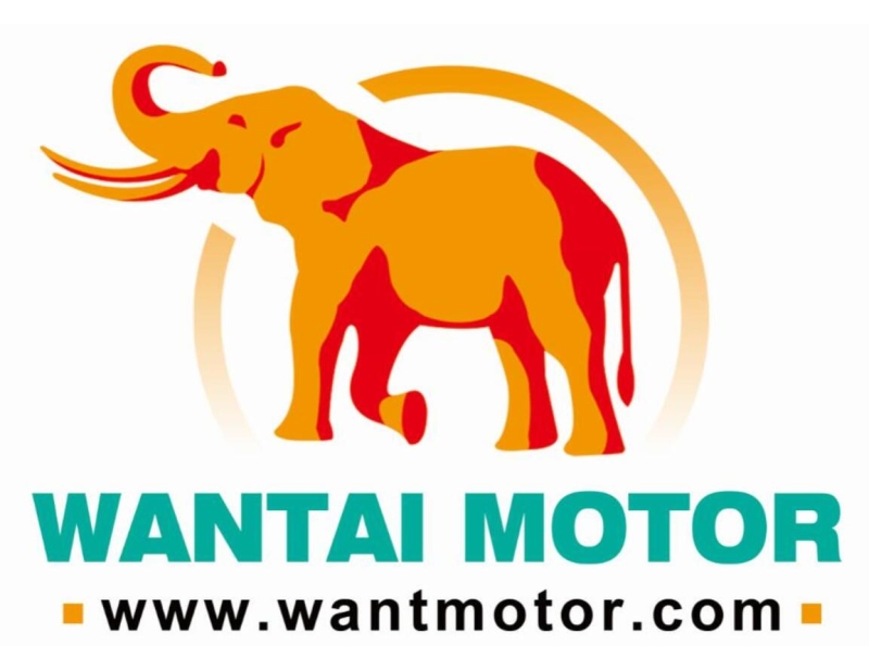 Wantai Motor Company Logo