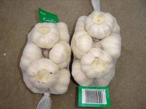 Wholesale chinese fresh garlic: Garlic