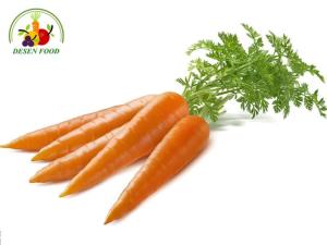Wholesale china carrot: Carrot