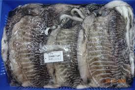 Wholesale seafood: CuttleFish