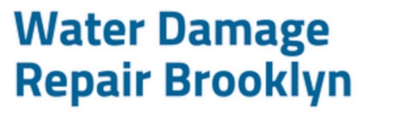 Water Damage Repair Brooklyn Company Logo