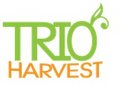 Trio Harvest Company Logo