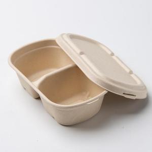 Wholesale Disposable Tableware: Compostable Disposable Biodegradable Take Away Sugarcane Bagasse Recyclable Salad Lunch Box with Lid
