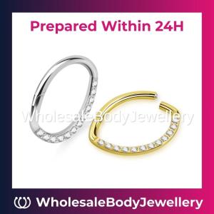 Wholesale Body Jewelry: Wholesale PVD Plated Hinged Segment Rings with CZ Stones