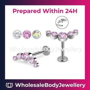 Wholesale high quality: High Quality Wholesale Internally Threaded Labrets with CZ Stones