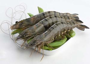 Wholesale prawns: Raw HOSO Black Tiger Shrimp with High Quality, Competitive Price and On-Time Delivery (Wehapi.Vn)