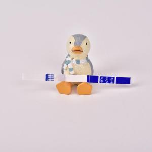 Wholesale pregnancy test strip: Pregnancy Strip