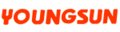 YOUNGSUN Intelligent Equipment Co., Ltd Company Logo