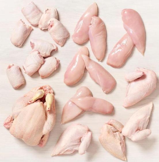Sell Wholesale Chicken Supplier with parts