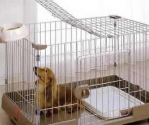 Wholesale welded iron wire mesh: Dog Kennels, PET Cages, Animal Cages