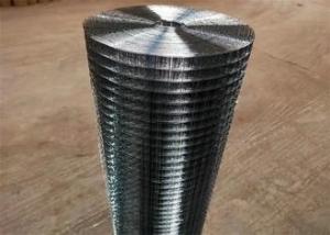 Wholesale welding rolls: 0.5in 4ft X 30m Welded Wire Mesh Rolls Hardware Cloth Plaster for Construction