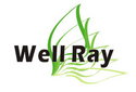 Well Ray Technology Ltd Company Logo