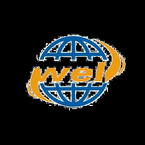 Shen Zhen International Logistics Limited Company Logo