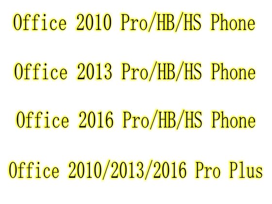 office pro plus 2010 key