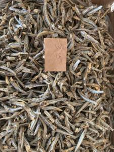 Wholesale Fish: Dried Anchovy