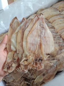 Wholesale squid: Dried Squid