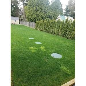 Western Turf Farms Ltd