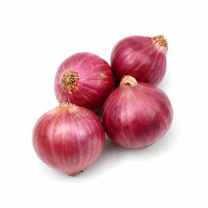 Wholesale red onion exporter: Onion