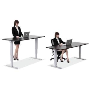 Wholesale lifting table: Dual Motor Standing Desk     Electric Standing Desk Dual Motor