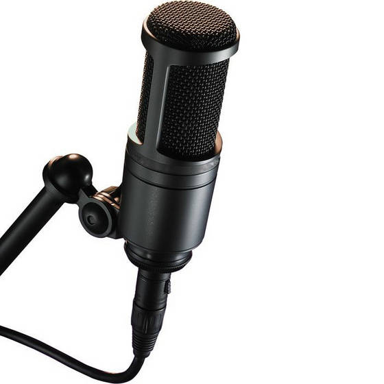 Sell large diaphragm recording microphone professional ...