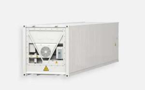 Wholesale fruit processing equipment: Refrigerated Shipping Container for Sale/Rent