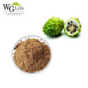 Wholesale health drink: Natural Noni Enzyme Powder 100% Purity