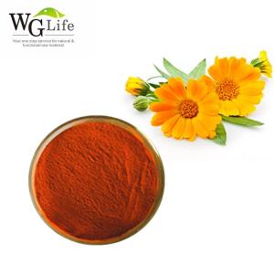 Wholesale Plant Extract: 100% Pure Organic Marigold Extract Lutein Powder