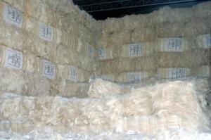Wholesale fine chemicals: Sisal Fibre  From Kenya