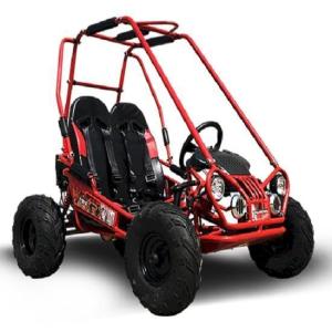 Wholesale Go Karts: Kids GoKart 5.5hp Gas Engine with Electric Start and Remote Start Kill AGES 4 To 12