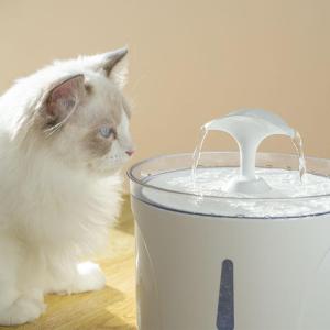 Wholesale Pet & Products: NEW Automatic Cat/PET Water Fountain