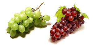Wholesale red grape: Grape Globe Fresh. Season! Red Balloon, Flame, Superior, Crimson Grapes Thompson Wholesale red grape: Grape Globe Fresh. Season! Red Balloon, Flame, Superior, Crimson Grapes Thompson